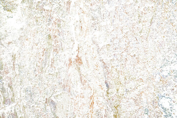 Grunge Tree Bark Texture with Cracks and Moss Isolated on Transparent Background