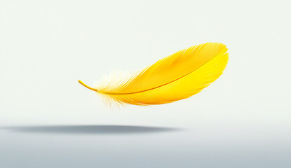Single Yellow Feather Floating