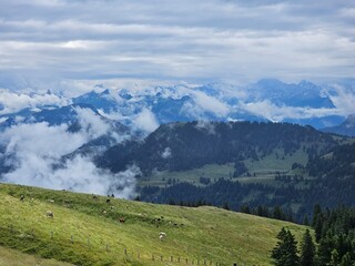 A stunning summer view from Mount Rigi, often referred to as the "Queen of the Mountains," offering panoramic vistas of the Swiss Alps and surrounding lakes. This image captures the lush green meadows