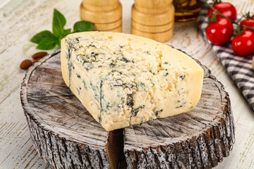 Gourmet blue cheese with mold