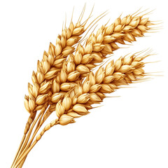 A stalk of golden wheat with delicate grains isolated on transparent background Isolated on Transparent Background