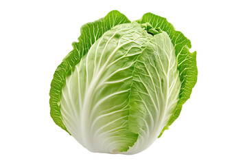 Whole green savoy cabbage with textured crinkled leaves isolated on transparent background. Concept of fresh organic vegetables and healthy eating