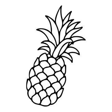 pineapple fruit vector illustration for coloring pages