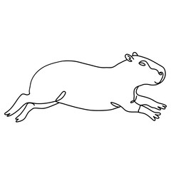 Capybara illustration, line art