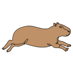 Capybara illustration, line art