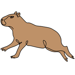 Capybara illustration, line art