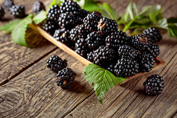 Frash blackberries with leaves on a wooden table.