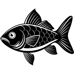 fish vector illustration
