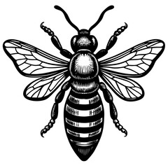 bee and flower