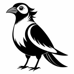 silhouette of a bird