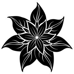 black and white flower