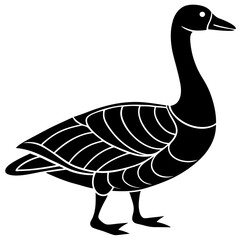 goose isolated on white background