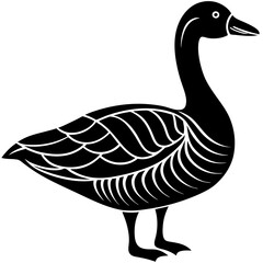 goose isolated on white background