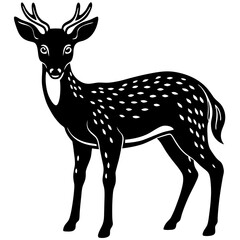 deer vector illustration