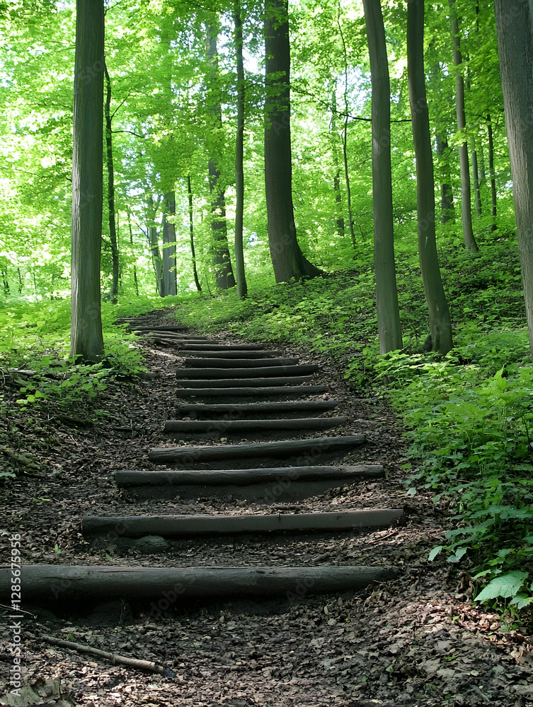 Poster sunlit forest path winding through lush green trees and tranquil woods : generative ai