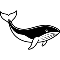 Blue Whale Line Drawing on White Background Vector