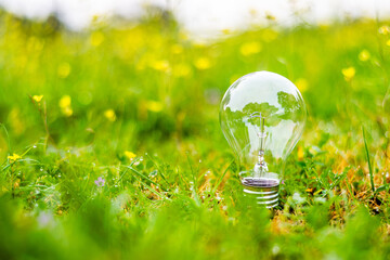 Light bulb rests in lush green grass reflecting trees, symbolizing renewable energy, environmental...