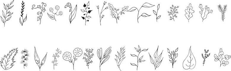 a set of hand drawn flowers and plants, flower floral  vector illustration