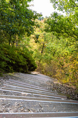 Autumn park with colorful trees with and falling leaves in the park