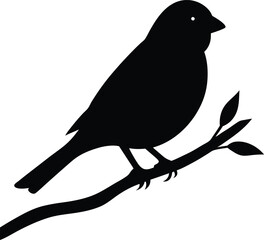 Modern illustration of a bird perched on a branch. A small sparrow sitting on a tree, hand-drawn in black against a white background. Depicting a spring nature decorative silhouette
