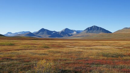Obraz premium Autumn Tundra Mountain Range