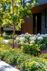 A vibrant garden filled with white hydrangeas and purple flowers, showcasing lush greenery in a modern residential setting