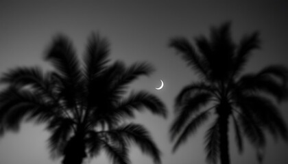 Silhouetted Palm Trees and Crescent Moon: A Nocturnal Monochrome Study