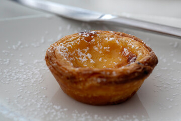 Closeup of home made Portuguese Custard Tart (Pastel de Nata) on a plate with icing sugar