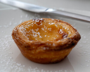 Closeup of home made Portuguese Custard Tart (Pastel de Nata) on a plate with icing sugar