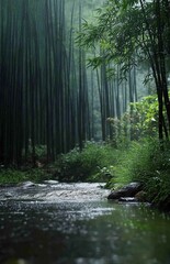 Quiet bamboo forest in the mist