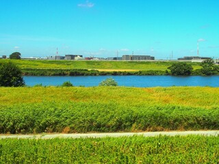 土手から見る江戸川と夏草繁る河川敷風景