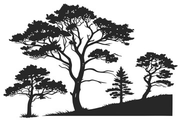 set of Juniper tree silhouette vector illustration