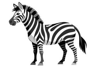 Fototapeta premium An elegant Zebra silhouette icon set against a clean white background.