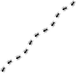 Illustration of ants marching line.