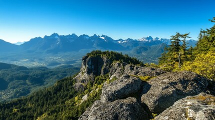 Obraz premium Mountain Peak View, Sunny Day, Forest, Valley