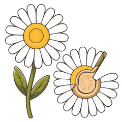 Cartoon sunflower with a smile and a bee surrounded by floral patterns and bright yellow petals in a cheerful summer scene