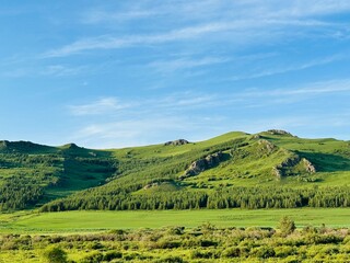 Vibrant Green Valley and Rolling Hills Under a Clear Blue Sky © Elva