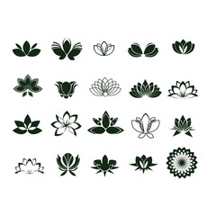 Set of flower design elements