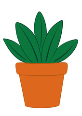 Plant in a pot