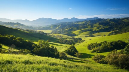 Obraz premium Rolling hills, valley, green landscape, sunny morning, nature view, tranquil scene, ideal for desktop background, peaceful valley