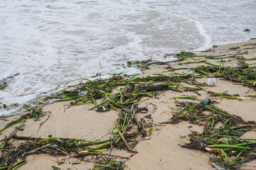 Mountains of waste and garbage on the sandy beach after the tide. Humanity is polluting the ocean.Panoramic