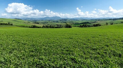 Lush Green Field Overlooking Mountains Under Sunny Sky