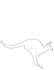 Kangaroo line art vector illustration