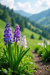 Delicate hyacinths, lilies-of-the-valley on verdant hillside , bloom, closeup, floral