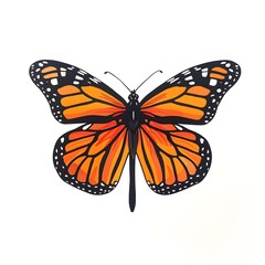 Fototapeta premium Elegant Monarch Butterfly with Minimal Alexander Marshal Inspired Style