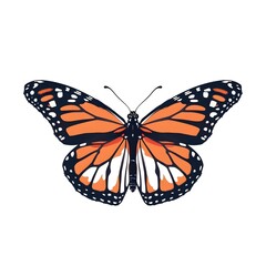Fototapeta premium Elegant Monarch Butterfly on Minimalist White Background