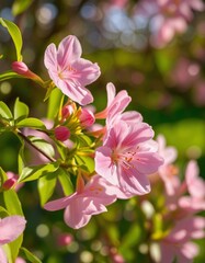 Obraz premium A Lush and Dreamy Spring Scene with Vibrant Colors and Natural Light