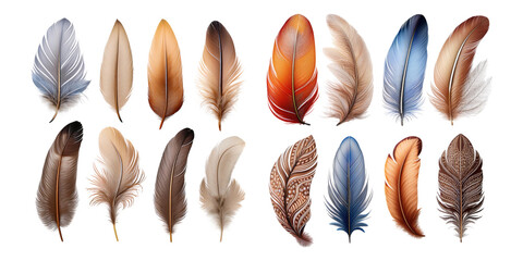 Elegant Transparent Feathers on Dark Background