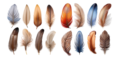 Elegant Transparent Feathers on Dark Background