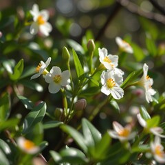 Fototapeta premium A Lush and Dreamy Garden in Full Bloom: Embracing the Colors of Spring